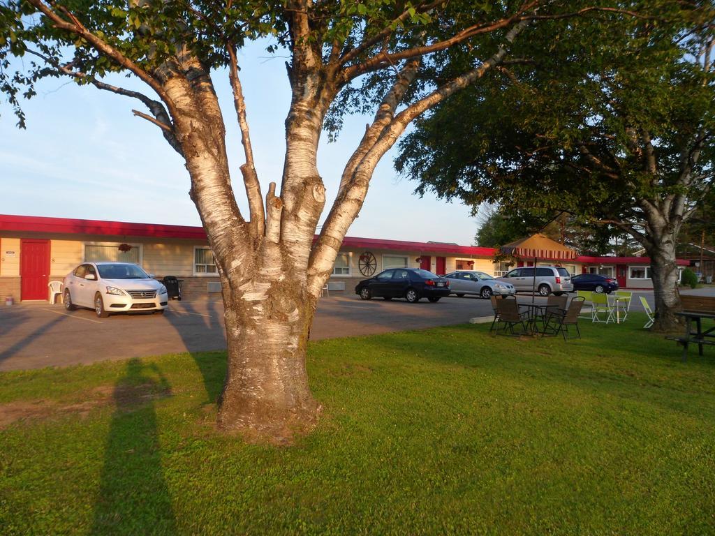 The Silver Birch Motel Годерич Екстериор снимка